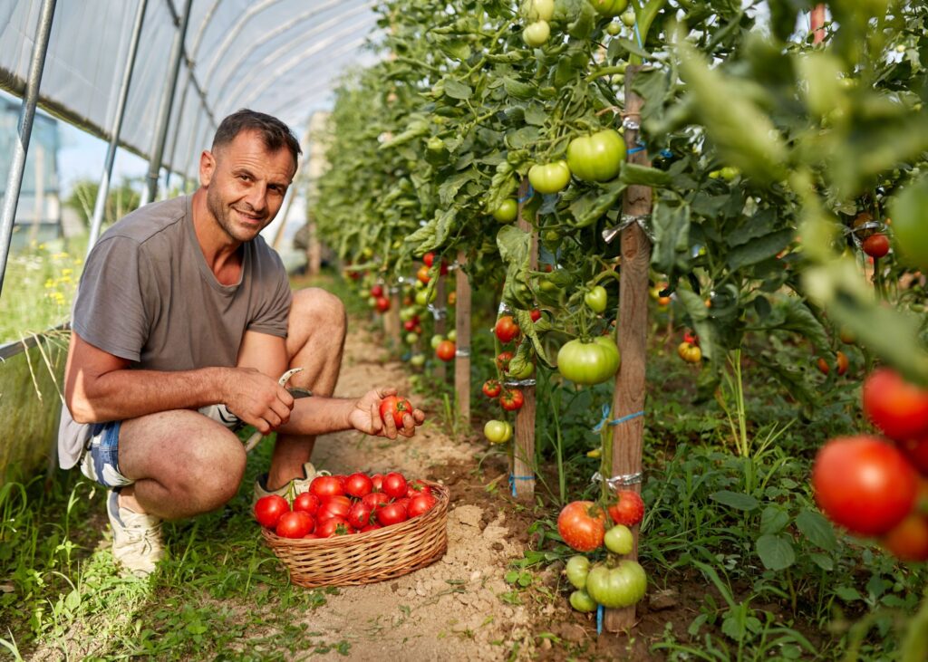 Man in garden smiling as he holds tomatoes