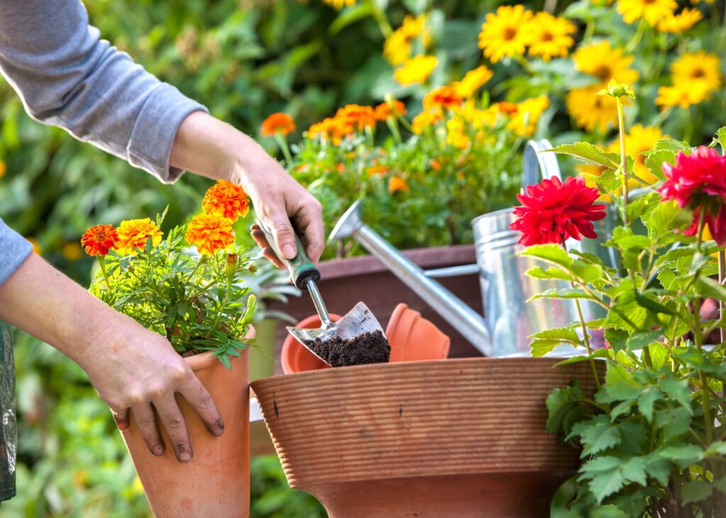 Spring Gardening